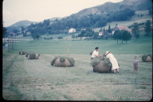 1960-Vosges-foins-1