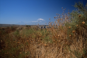2005_Armenie-43