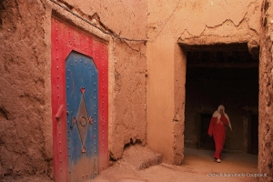 491-Maroc