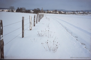 1999_Menoux-hiver-20